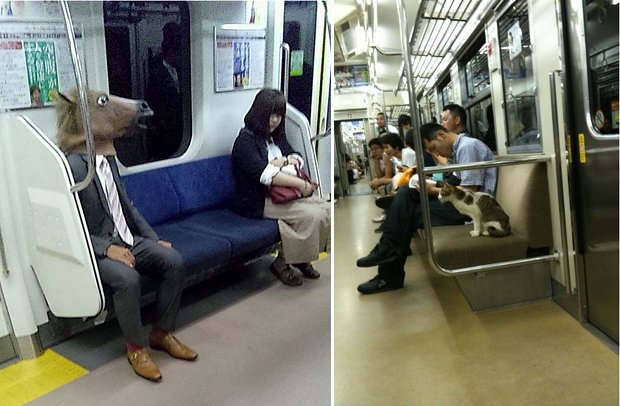 japan trains strange pictures