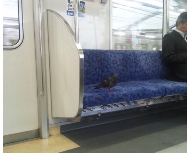 japan trains strange pictures