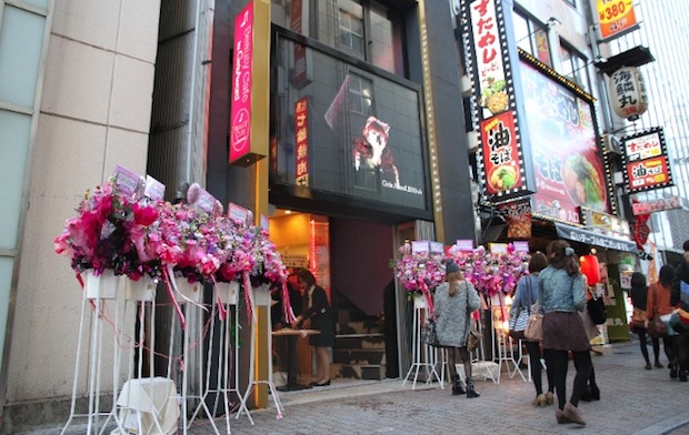 beauty cafe girls award shibuya gyaru dokusha model cafe bar