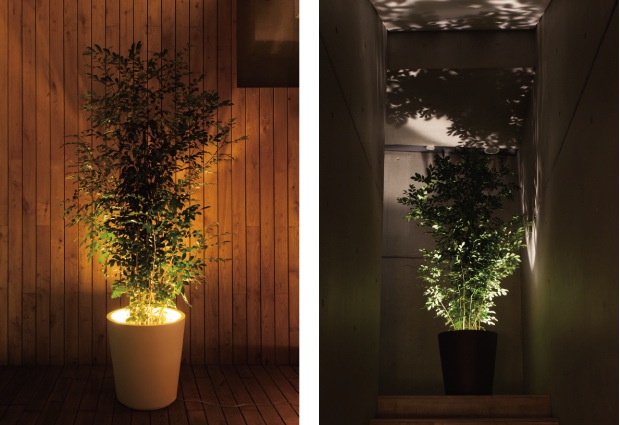 forestarium lamp light plant pot