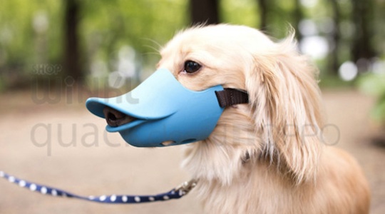 Oppo Dog Muzzle Quack Closed duck bill pet mouth protection