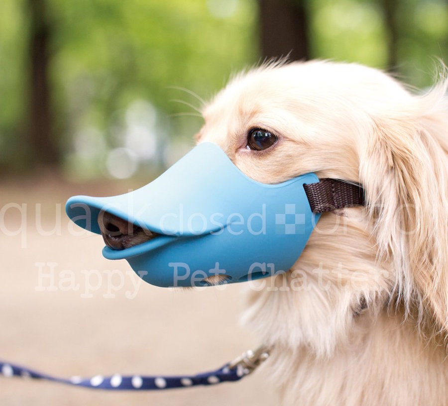 dog beak muzzle