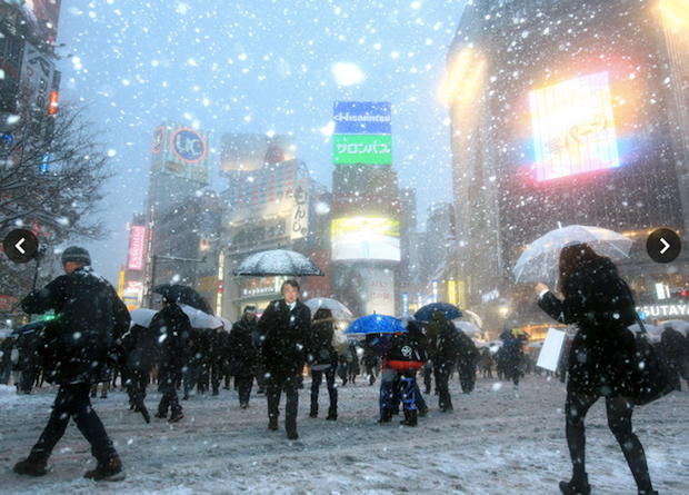 tokyo snow storm 2014 february