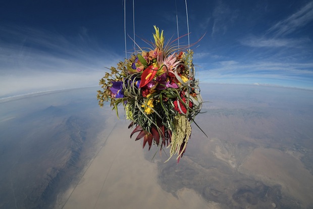 makoto azuma exbiotanica bonsai flower botanical art space launch flight