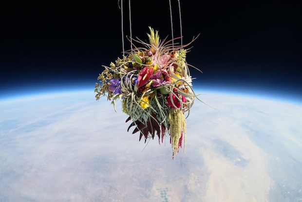 makoto azuma exbiotanica bonsai flower botanical art space launch flight