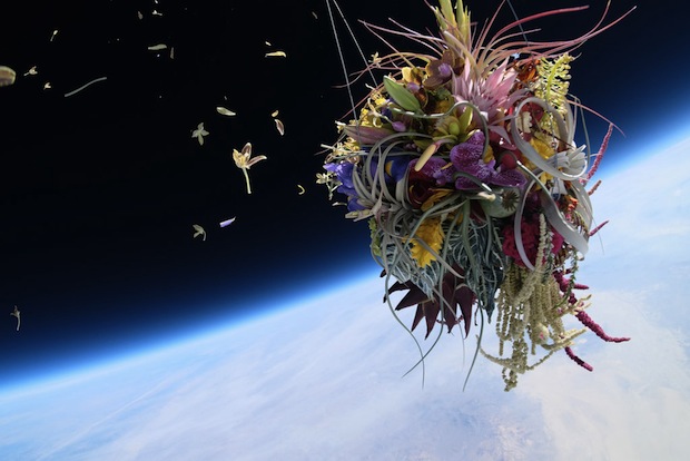 makoto azuma exbiotanica bonsai flower botanical art space launch flight