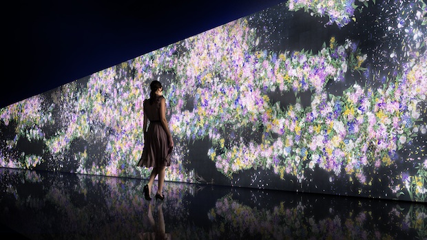 teamlab gucci infinity of flowers digital installation shinjuku japan tokyo