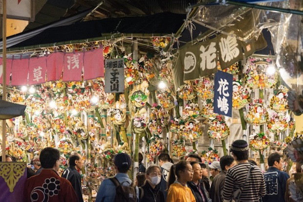 asakusa tori no ichi festival