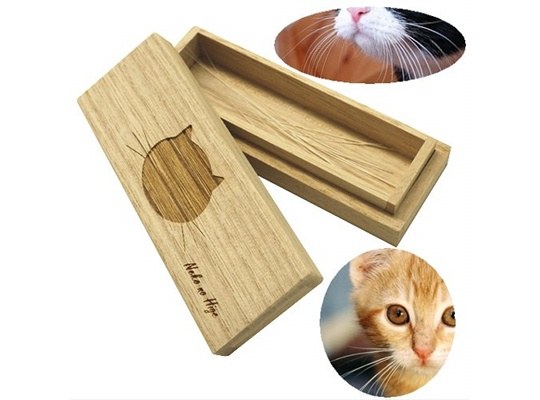 cat whiskers case store feline pet hair japan trends