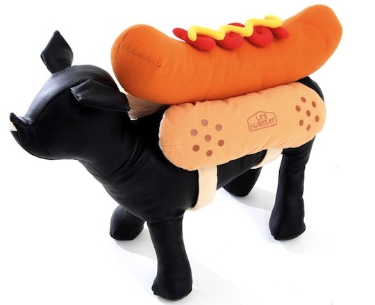 hot dog pet clothes sausage bun