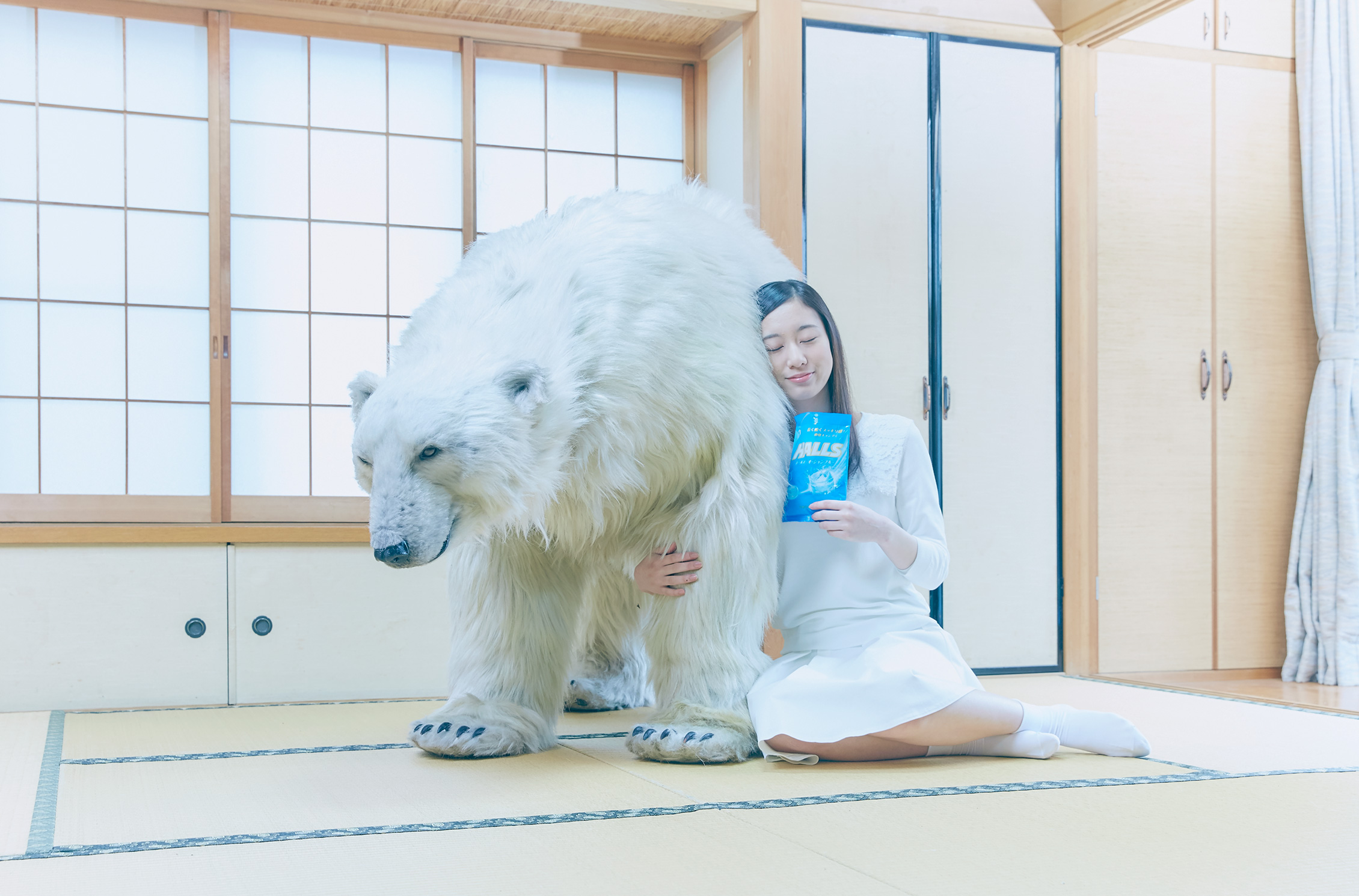 halls delivery bear service polar white animal campaign