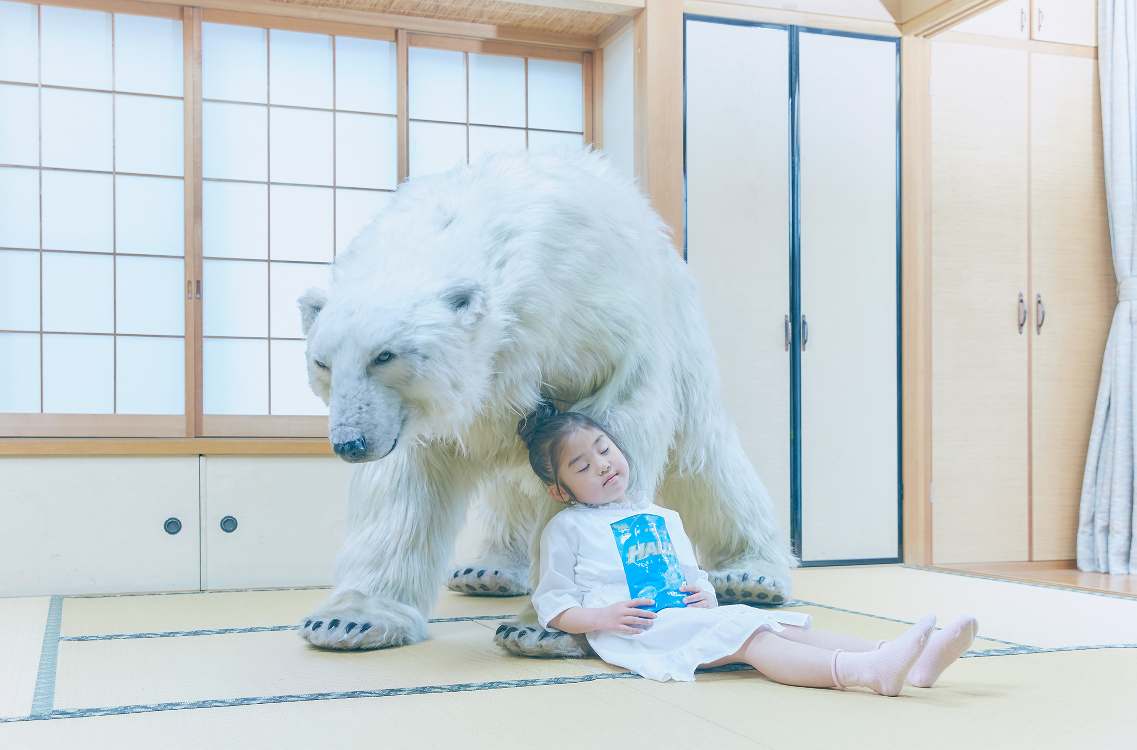 halls delivery bear service polar white animal campaign