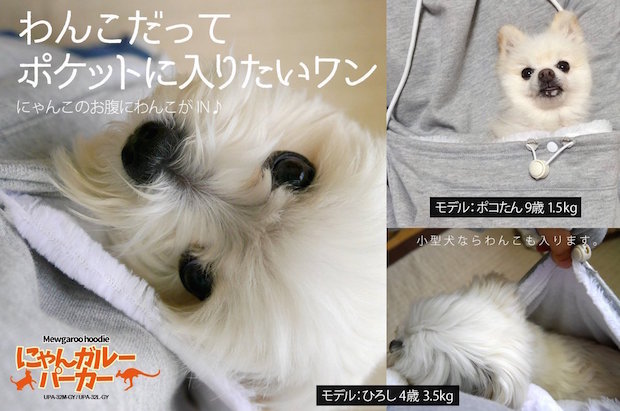 Mewgaroo Hoodie Pet Pouch Sweatshirt buy japanese cat snuggle cuddle pocket clothing buy