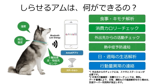 shiraseru am pet wearable monitoring health tracking device app smartphone japan