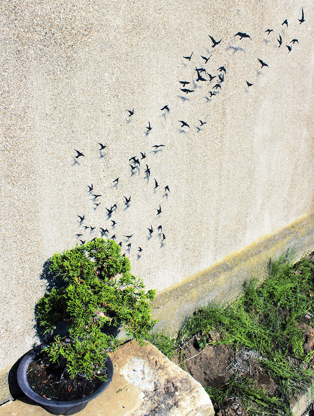 pejac street art tokyo japan