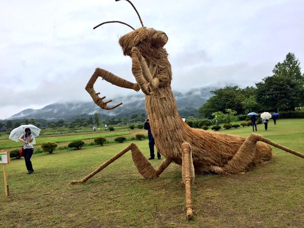 amy goda artwork straw sculpture niigata japan dinosaur praying mantis crab