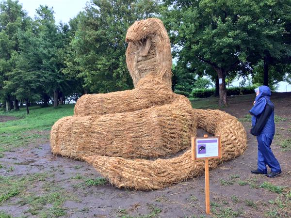 amy goda artwork straw sculpture niigata japan dinosaur praying mantis crab