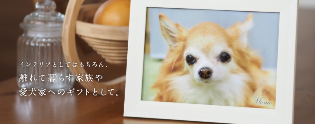 poppet pet relief face photo 3d printed japanese dog cat trend
