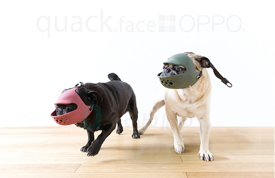 quack face pet muzzle dog duck dill oppo japan