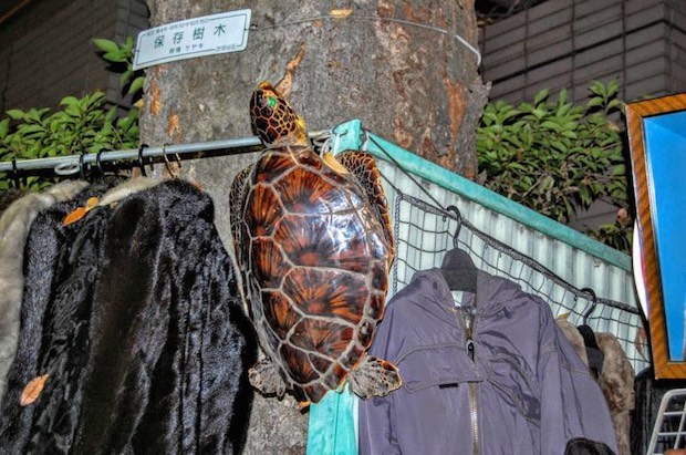 boroichi flea market tokyo setagaya