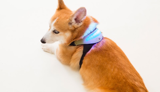 inupathy japanese dog emotional feeling visualizer harness device pet