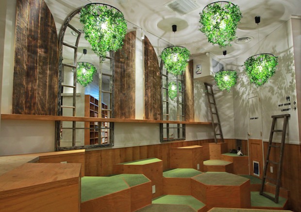 MoCHA designer cat cafe opens in Harajuku Japan Trends MoCHA designer cat cafe opens in Harajuku Japan Trends