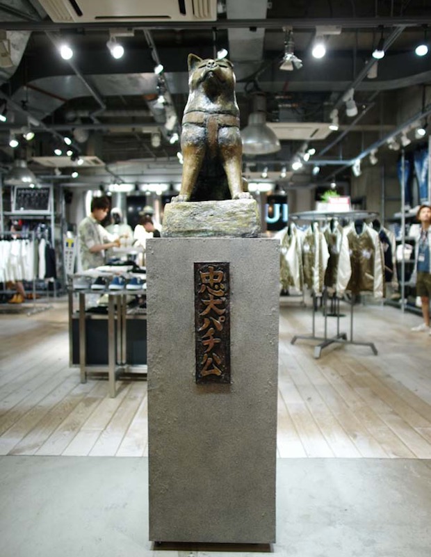 pachiko hachiko shibuya vanquish tokyo store dog landmark tourism
