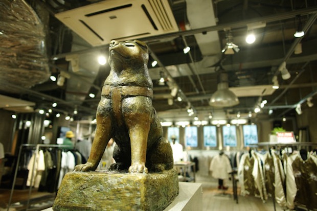 pachiko hachiko shibuya vanquish tokyo store dog landmark tourism