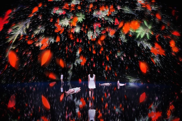 teamlab Floating in the Falling Universe of Flowers installation immersive