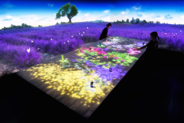 loccitane shinjuku teamlab digital immersion provence installation