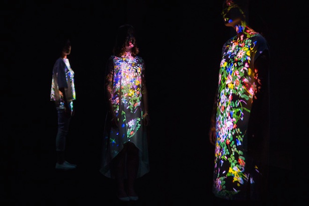 teamlab digital installation flowers transcending boundaries