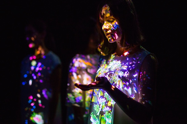 teamlab digital installation flowers transcending boundaries