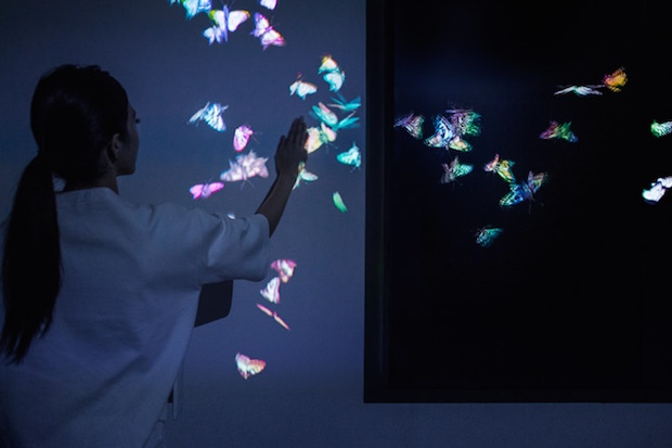 teamlab digital installation flowers transcending boundaries