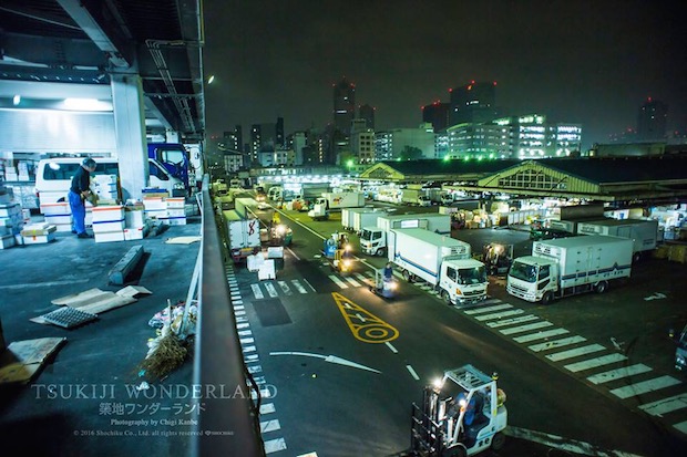 tsukiji wonderland fish market documentary