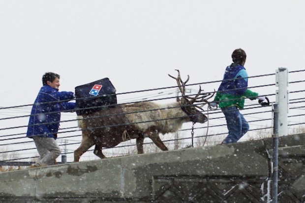 dominos pizza japan delivery hokkaido reindeer snow christmas