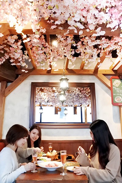 air hanami cherry blossom party indoor