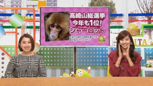 oita city saru tabi monkey promotional video campaign 2