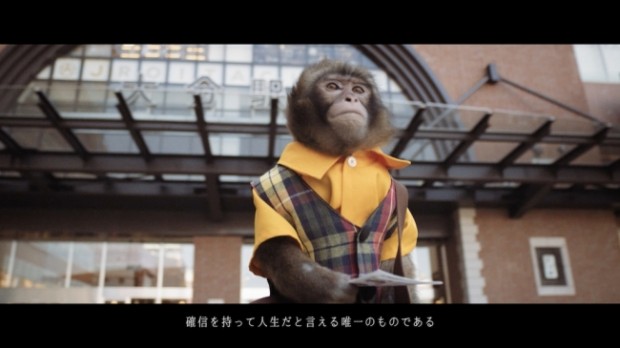 oita city saru tabi monkey promotional video campaign 4