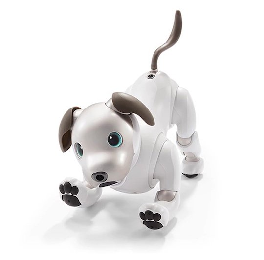 aibo sony robotic dog new reboot