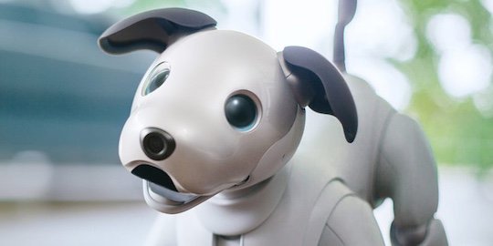 Robot dog 2025 1990s