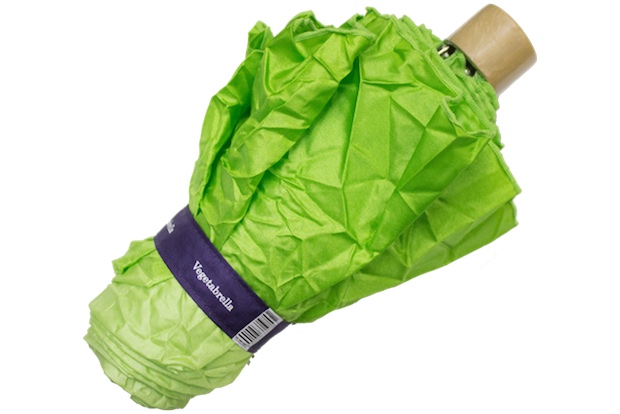vegetabrella lettuce umbrella