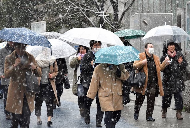 tokyo snowfall winter heavy