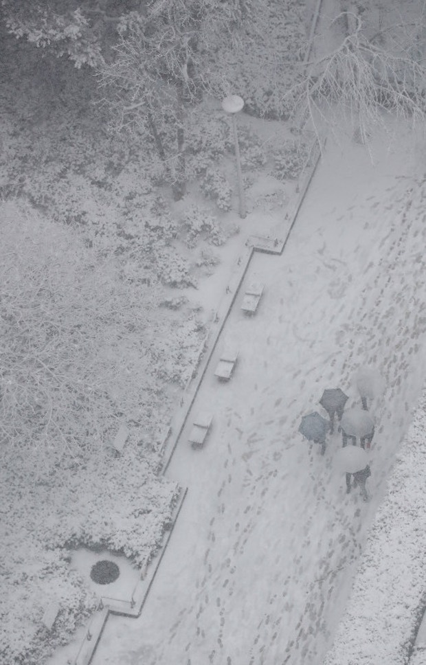 tokyo snowfall winter heavy