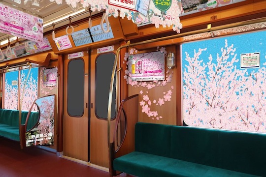 sakura japanese train tokyo metro ginza line japan hanami cherry blossom season spring