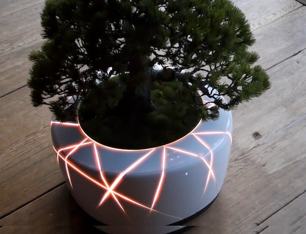 bonsai ai artificial intelligence technology plant robot japan