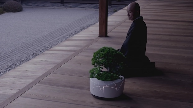 bonsai ai artificial intelligence technology plant robot japan