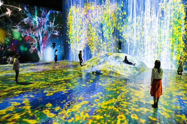 mori building teamlab digital art museum borderless immersive tokyo projection technology