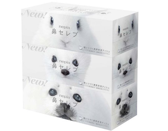 nepia hana celeb tissues talking animal ears dispenser