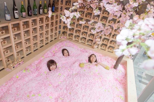 sakura chill bar tokyo hanami cherry blossom