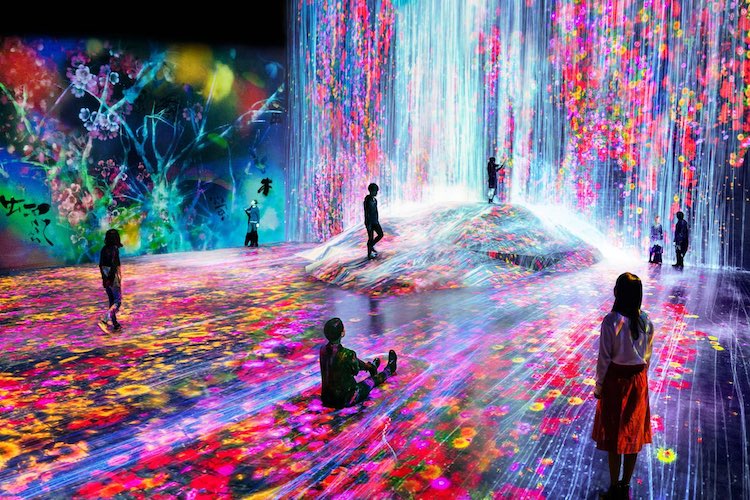 mori art museum teamlab borderless digital tokyo